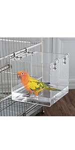 Bird Bath