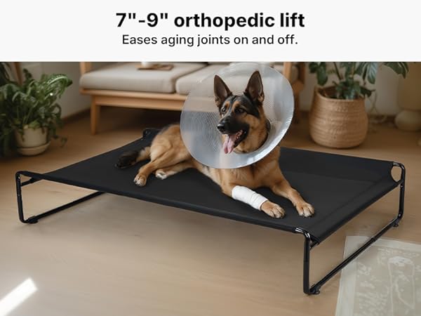 ファームDOG(*^^*) Amazon.com : Veehoo 36 inch Folding Soft Dog Crate, 4-Door