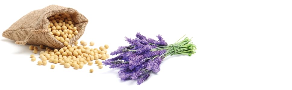 LEADO Lavender Scented Candles - Funny Gifts for Men, Gifts for Him - Gifts for Husband,