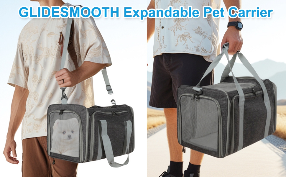 Standard Image Header With Text