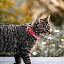 Small manufacture image 7