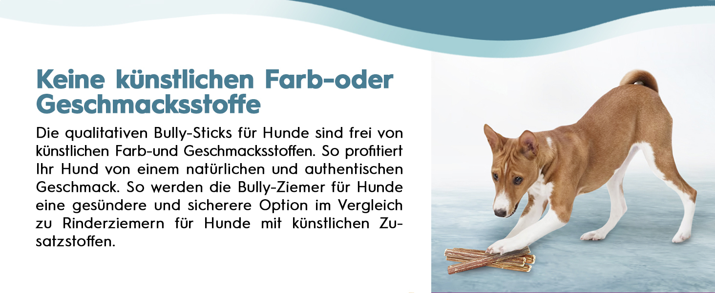 hunde kauartikel