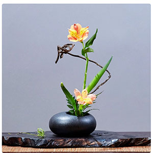 Amazon.co.jp: 花器 水盤 KuFuccj 1個入り花器 陶器 セラミック