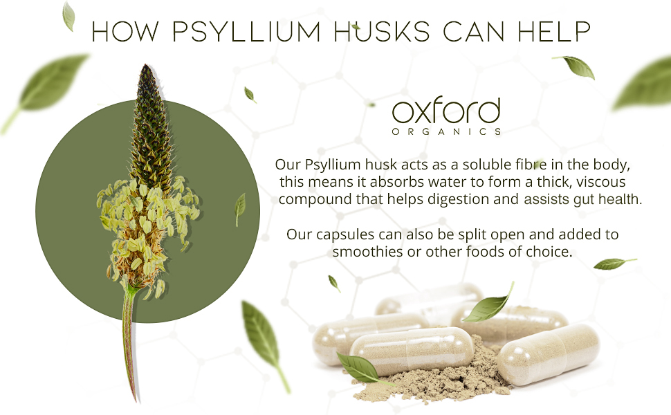 Pure Psyllium Husks Fibre Supplement 1460mg per Serving Natural