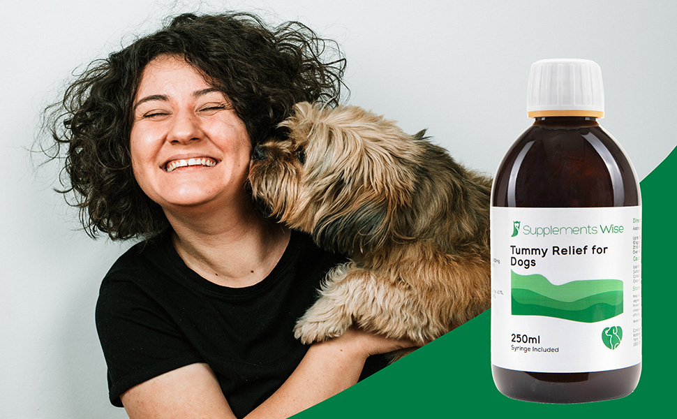 Tummy Relief for Dogs Puppy and Dog Diarrhea Treatment Stomach