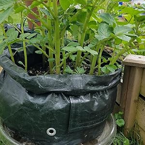 Small manufacture image 6