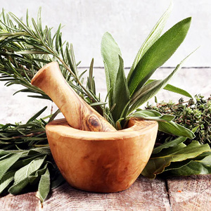 Pure Essence offers a variety of premium holistic vitamins and supplements