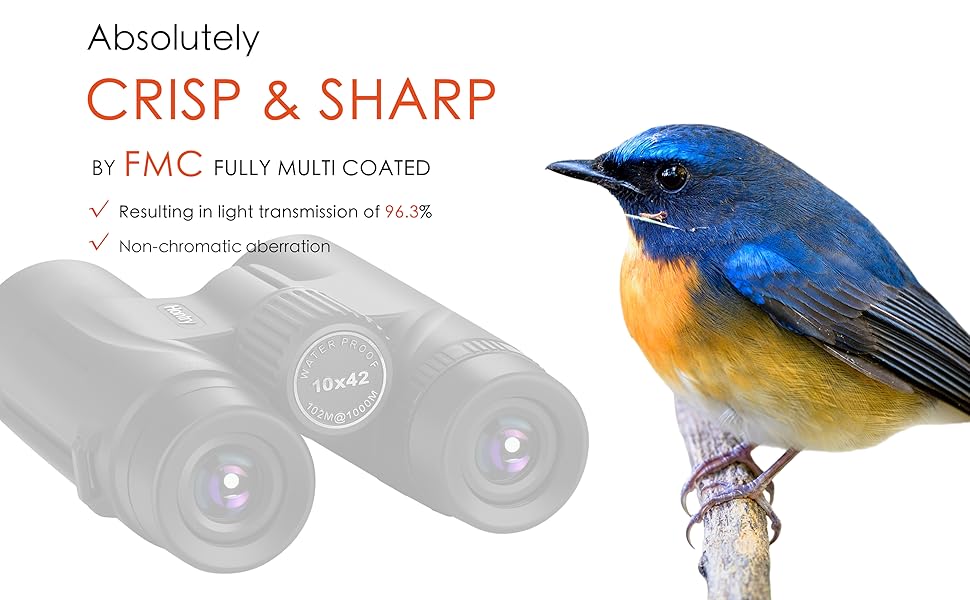 Hontry 10x42 HD Binoculars, IPX6 Completely Waterproof Binoculars for