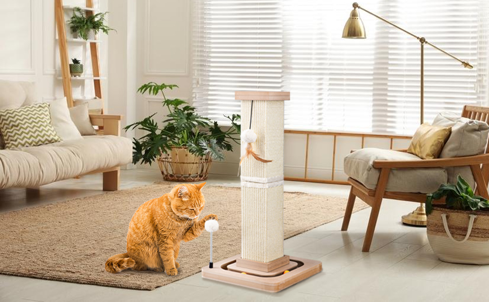 cat scratching post