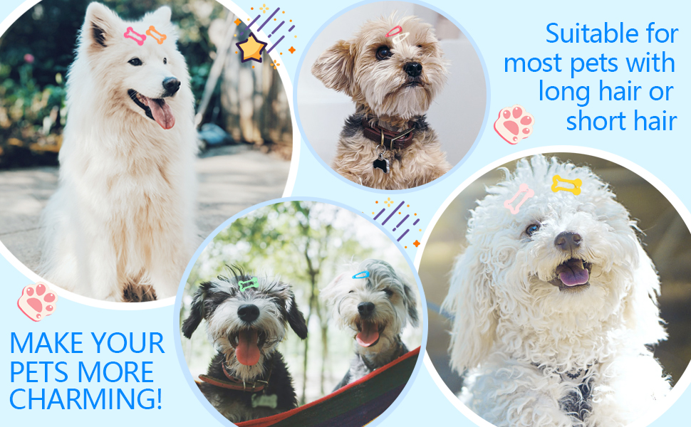 YAODHAOD 20 Pieces Dog Hair Clips Pet Hair Barrettes Dog