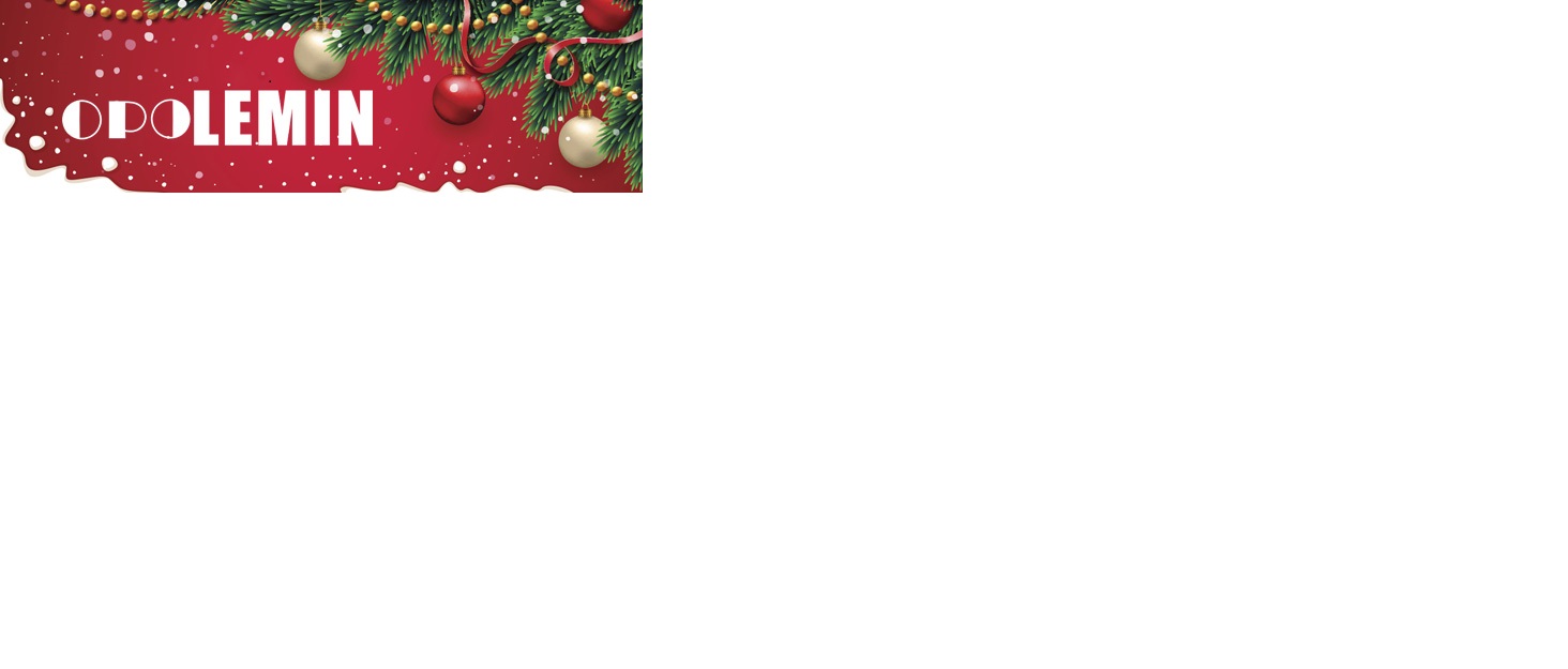 christmas decoration