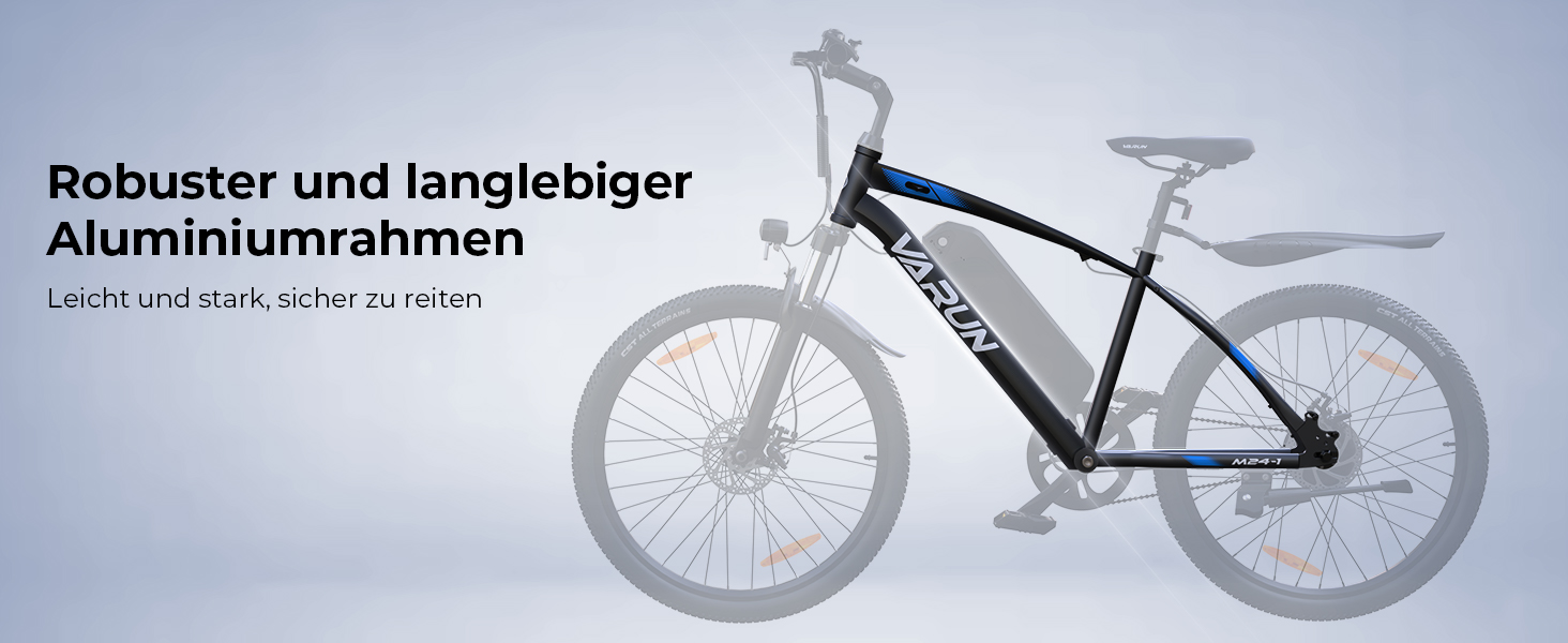 ebike