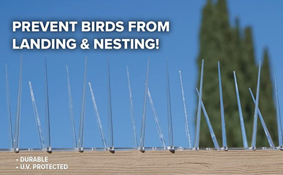Polycarbonate Anti Bird Pigeon Control Bird Transparent Spikes Solution