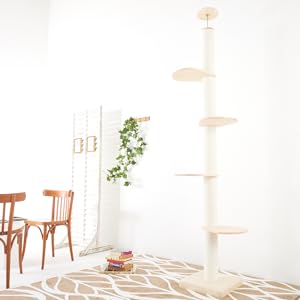 Amazon | 【OMOTENASHIセレクション2023特別賞受賞】 キャット