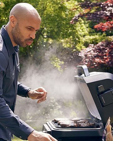 Ninja Woodfire Outdoor Grill 