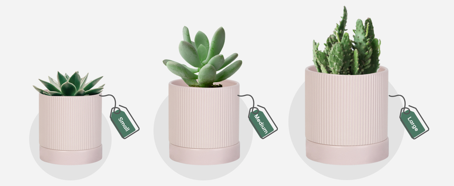 ceramic planter plant pots