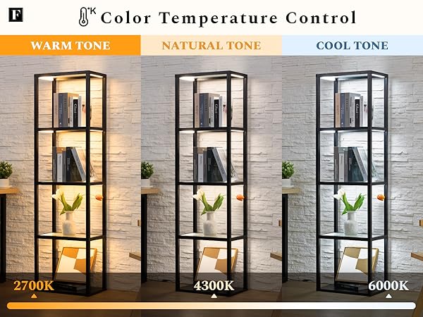 Amazon.com: FENLO LED Display Shelf with Lights – Curio