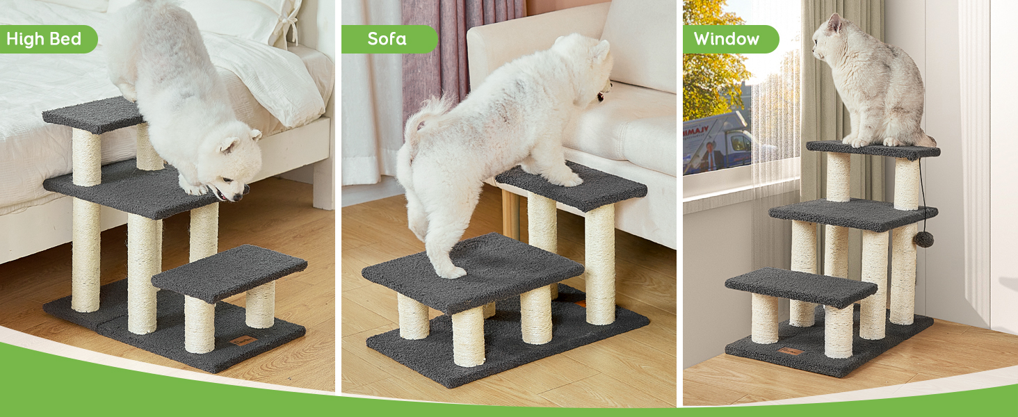 pet stairs for small dogs
