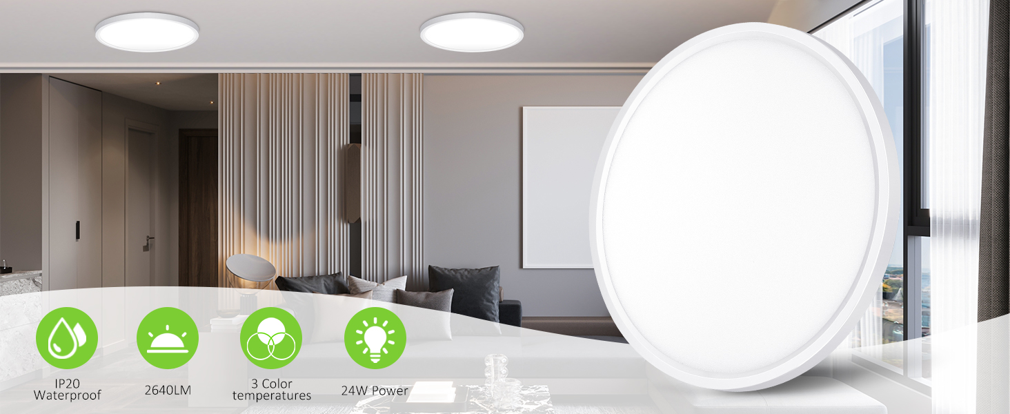 Ceiling Light