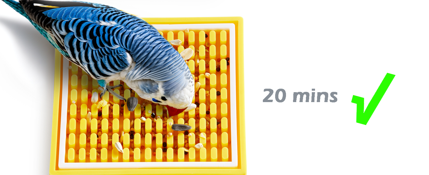 parrot foraging toys