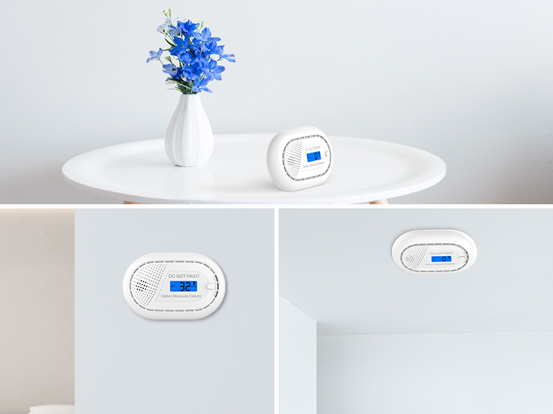 CPVAN Carbon Monoxide Detector 10 Year Sealed Battery, Carbon Monoxide