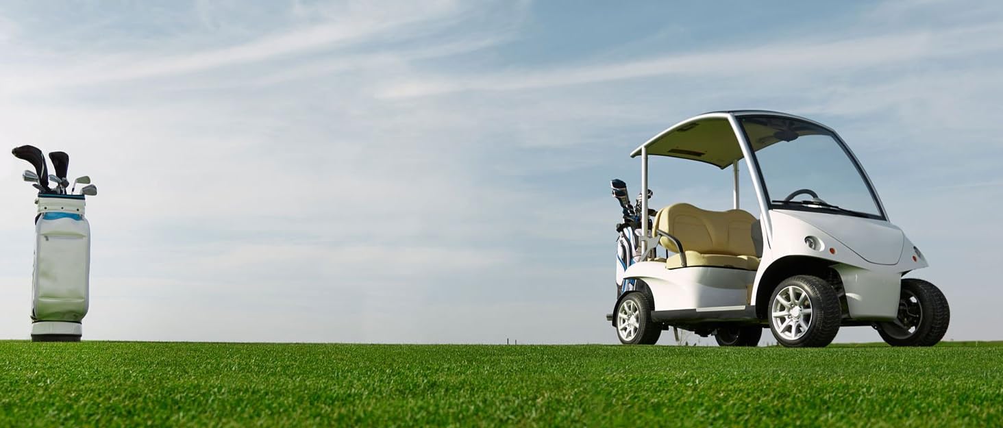 golf cart charger