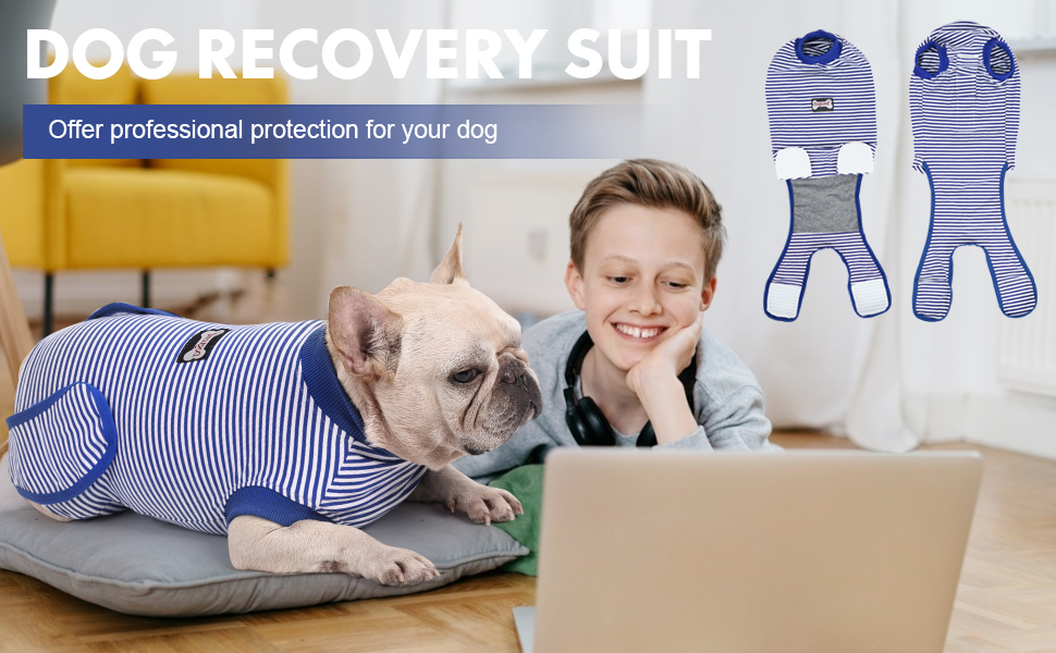 EMUST Dog Recovery Suit, After Surgery Wear for Dogs Male Female, Pet ECollars Alternative