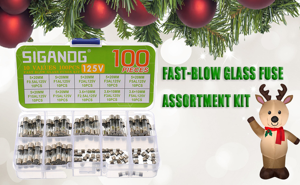 SIGANDG Christmas Light fuses Replacement FastBlow Glass Fuses 5x20mm