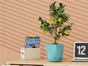 green blue plant pots ceramic indoor modern set of 3 drainage hole saucer