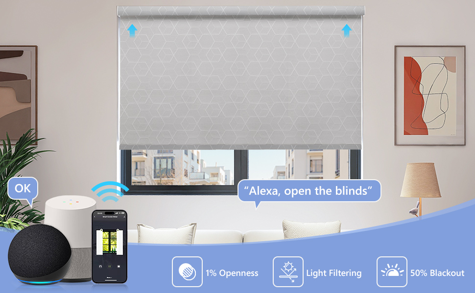 ZSTARR Customize Motorized Blinds Electric Roller Blinds