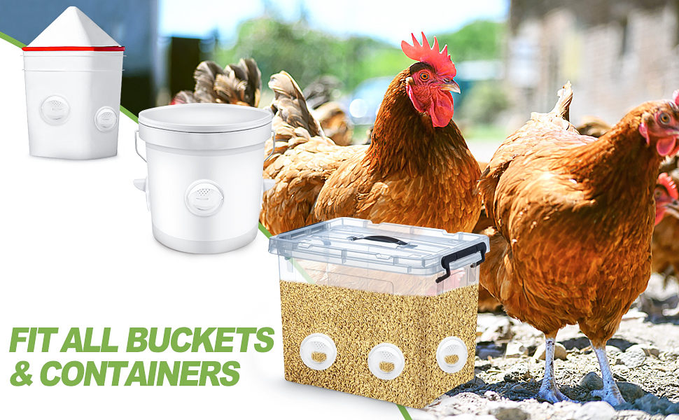 NoWaste DIY Chicken Feeders Port Automatic Poultry