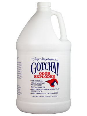 Small manufacture image 2