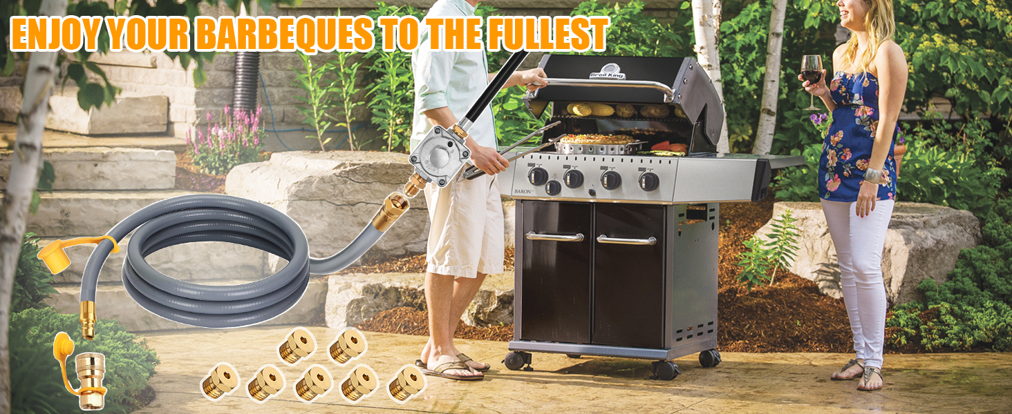 from Propane to Natural Gas Conversion Kit Compatible with Weber Genesis, Genesis II