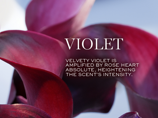 perfumes for women, perfume, womens perfume, perfumes, perfume for women, women's fragrances