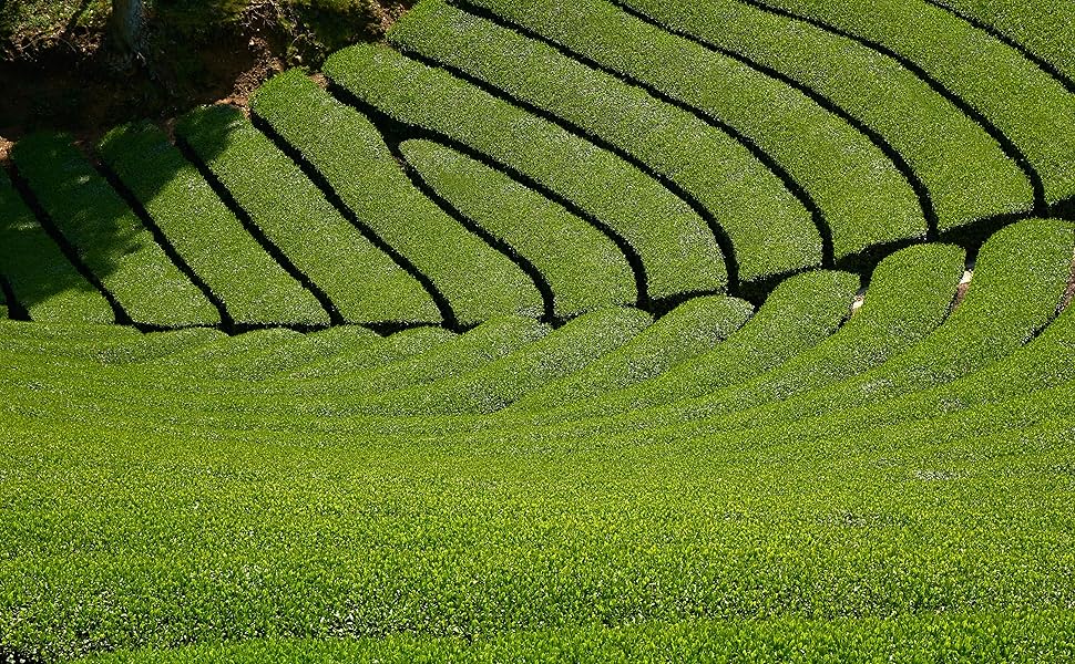 Large manufacture image 4