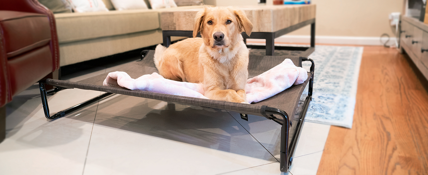 Veehoo Original Cooling Elevated Dog Bed, Outdoor Raised Dog Cots Bed