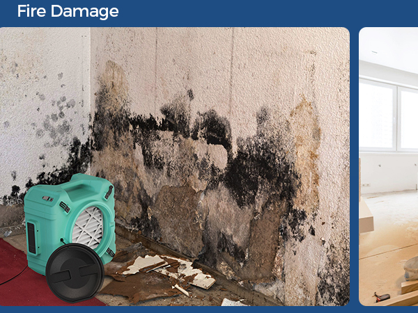 commercial air purifier