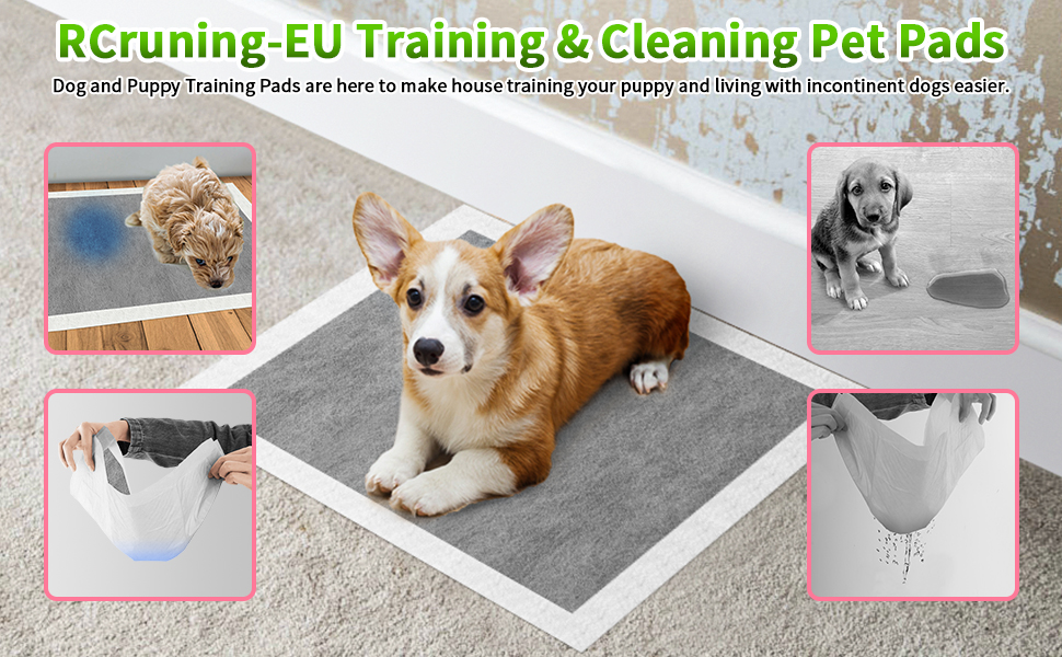 Carbon Large Puppy Training Pads Pack of 25, Super Absorbent Dog Pads, Odour Control Dog Pee Pad
