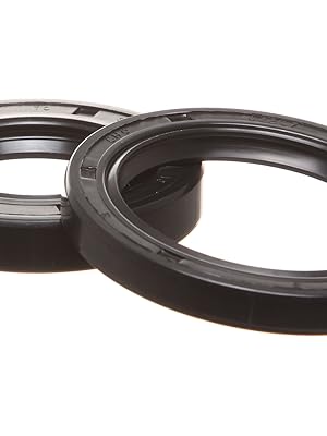 りーちょ　 Amazon.com: REPLACEMENTKITS.COM Input & Output Seal Kit