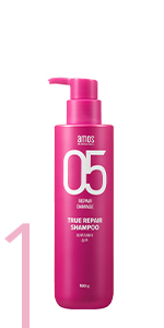 TRUE-REPAIR-STEP-01