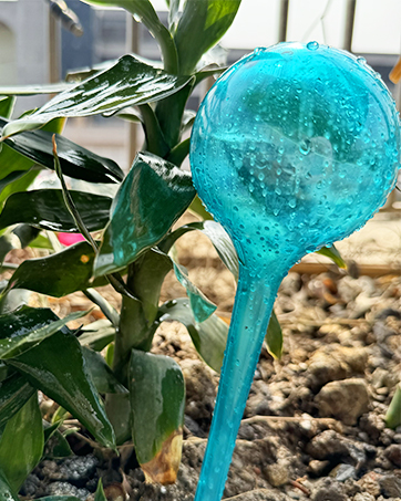 Plastic Garden Flower Plant Watering Spikes