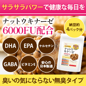 ナットウキナーゼセット 納豆キナーゼ ナットウキナーゼ サプリ 180粒 大容量6カ月分 2個