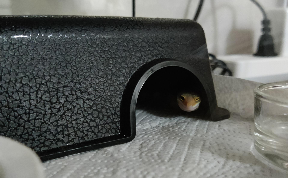 Lucky Interests 2 pcs Reptile Hide Box, Reptile Gecko Cave