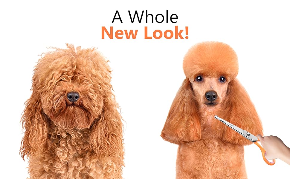 dog scissors for grooming, curved scissors for dog grooming , dog scissors