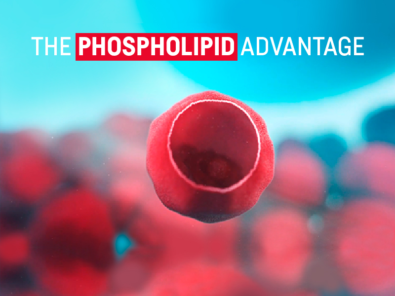 Kori Omega 3 Excel has phospholipid bound Omega-3 our body prefers 