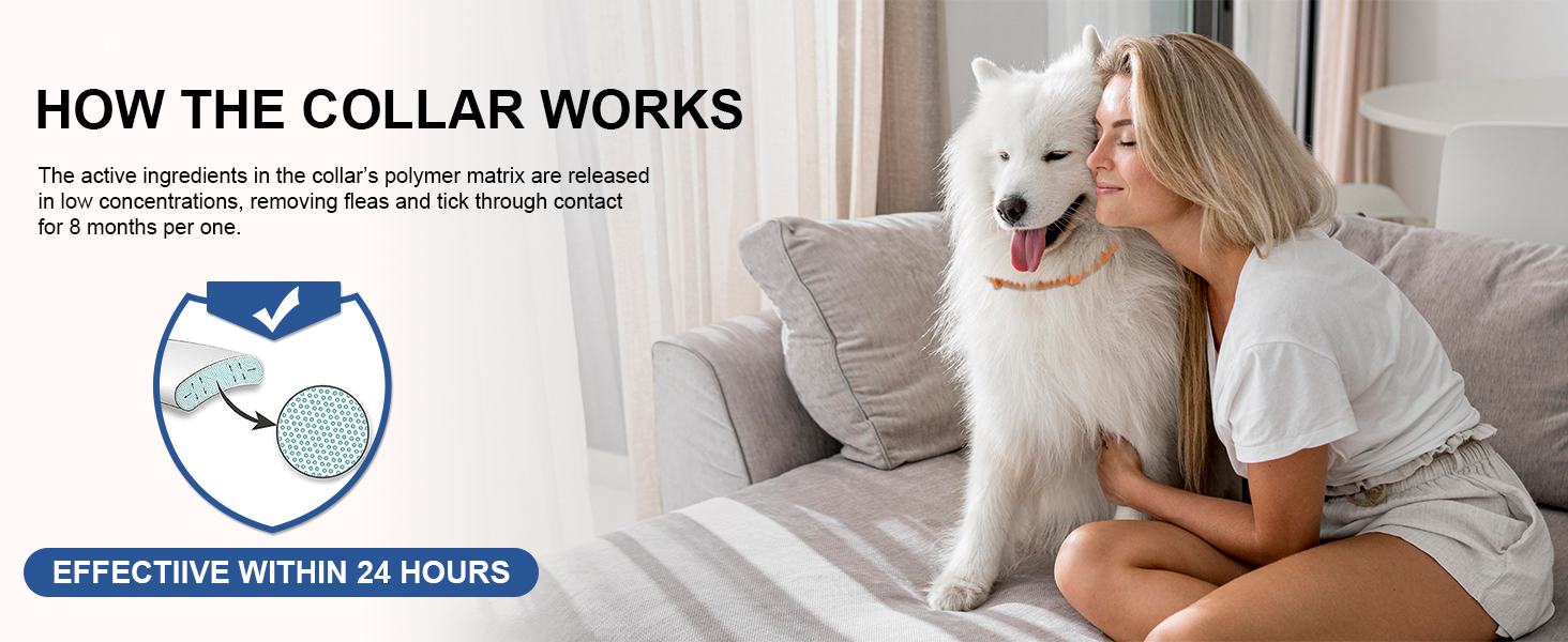 flea and tick collar for dogs