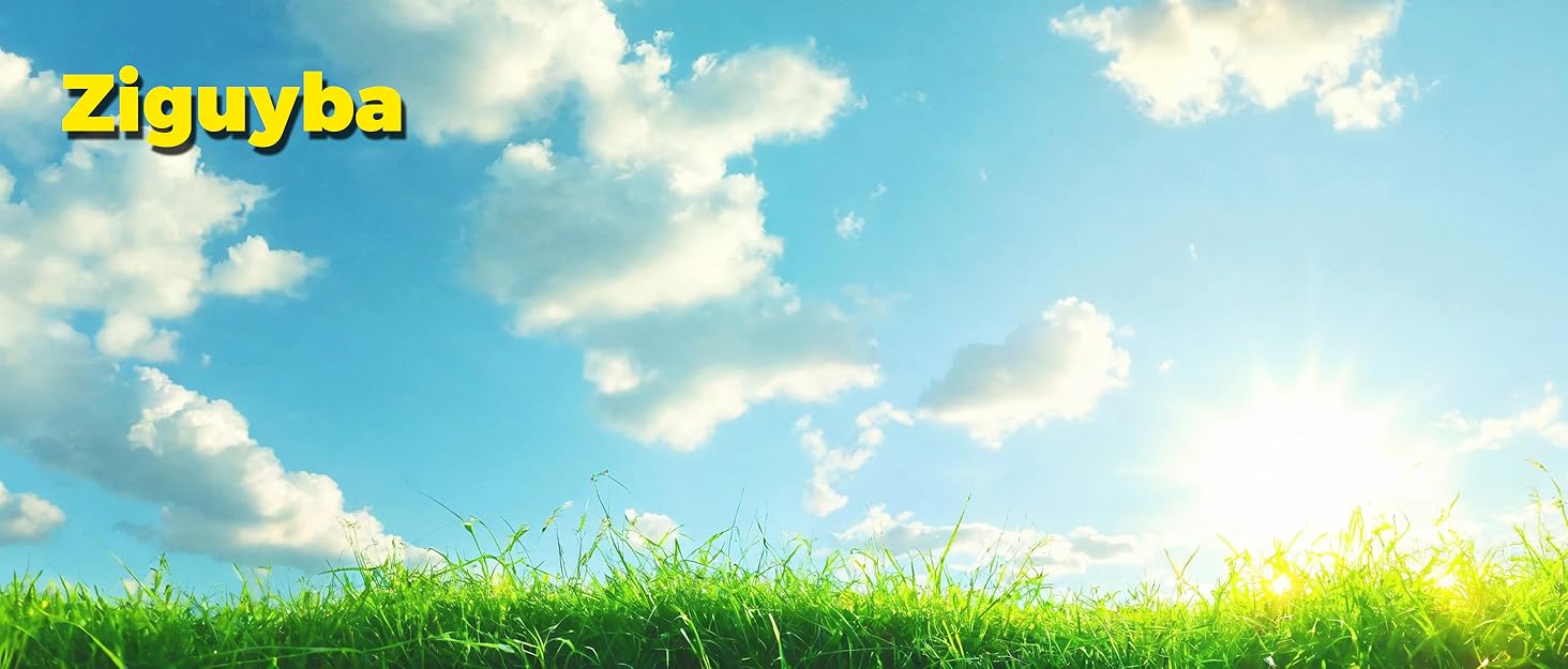 ziguyba