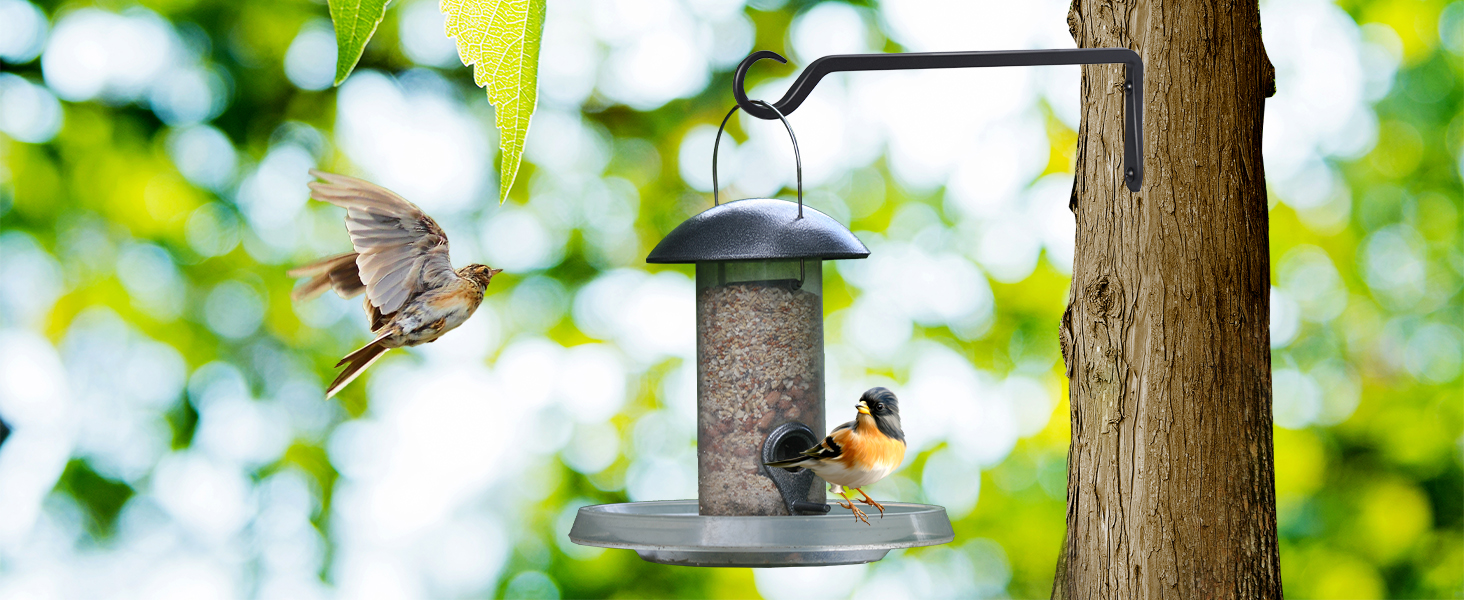 Hanging Bird Feeder