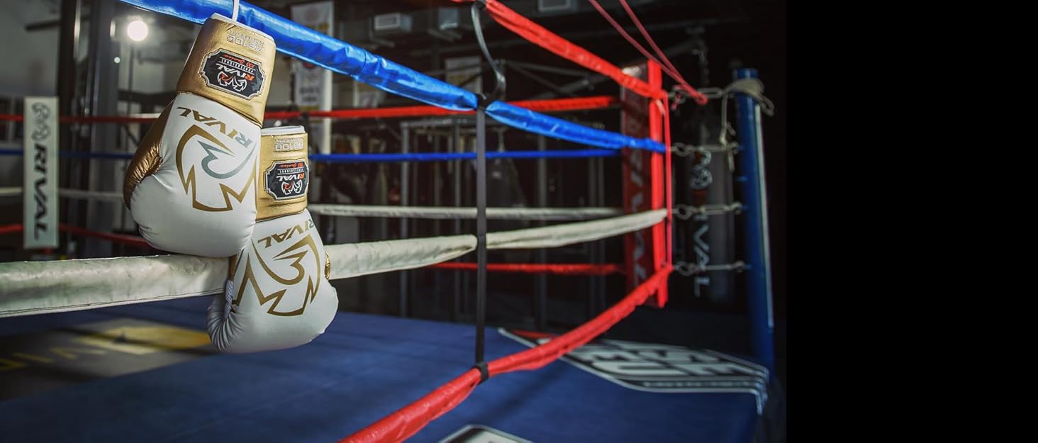 rival rs100 hanging boxing gloves