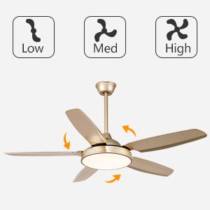 Gold Ceiling Fan with Light